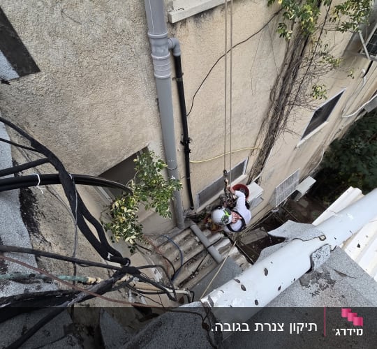 עובד בגובה על סולם ליד בניין